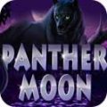 Игровой автомат Panther Moon играть