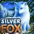 Обзор игрового автомата Silver Fox (Серебренная Лисица)